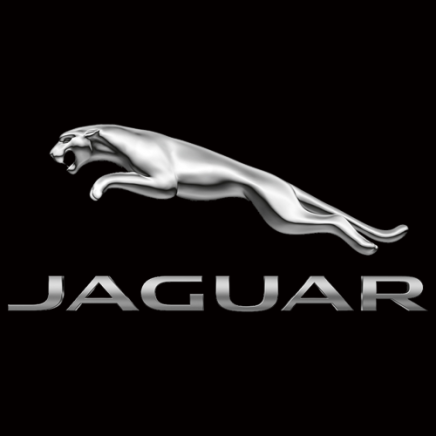 【捷豹Jaguar 远程技术支持】机修、电路、电脑在线编程 各类故障 远程解决疑难杂症